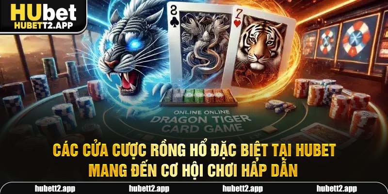 Các cửa cược Rồng Hổ đặc biệt tại HUBET mang đến cơ hội chơi hấp dẫn