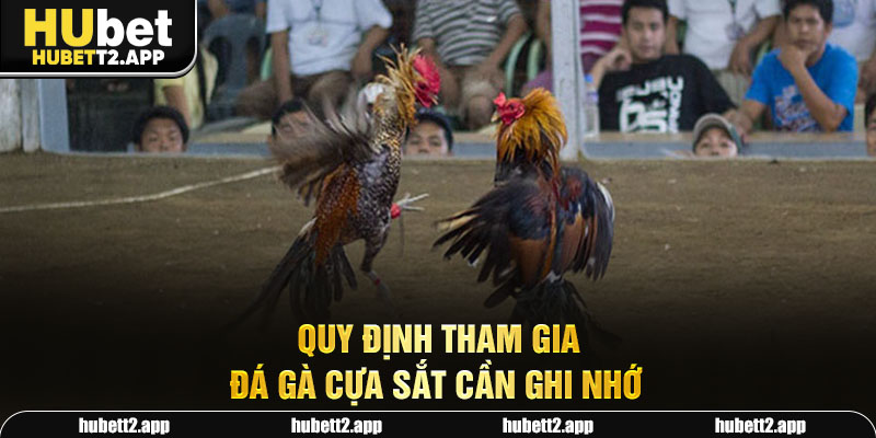 Quy định tham gia đá gà cựa sắt cần ghi nhớ