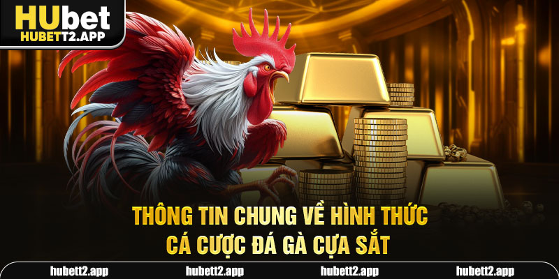 Thông tin chung về hình thức cá cược đá gà cựa sắt